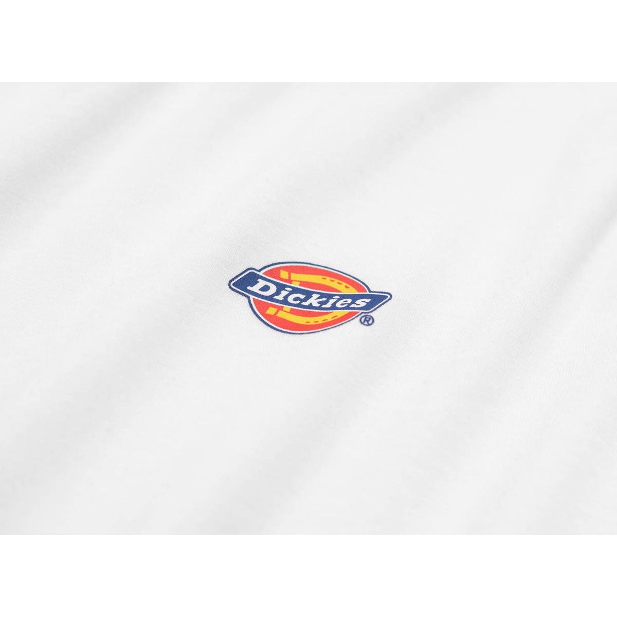 product/2/0/2025_dickies_dk0a4xdbwhx1_2.jpg