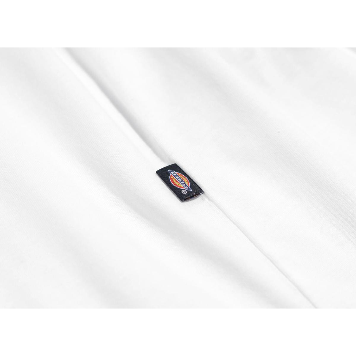 product/2/0/2025_dickies_dk0a4xdbwhx1_3.jpg
