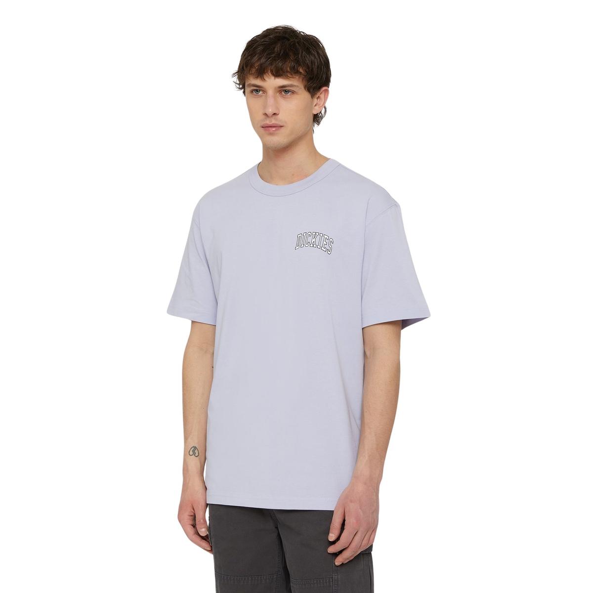 product/d/i/dickies_dk0a4y8oh181_cosmic-sky_1.jpg