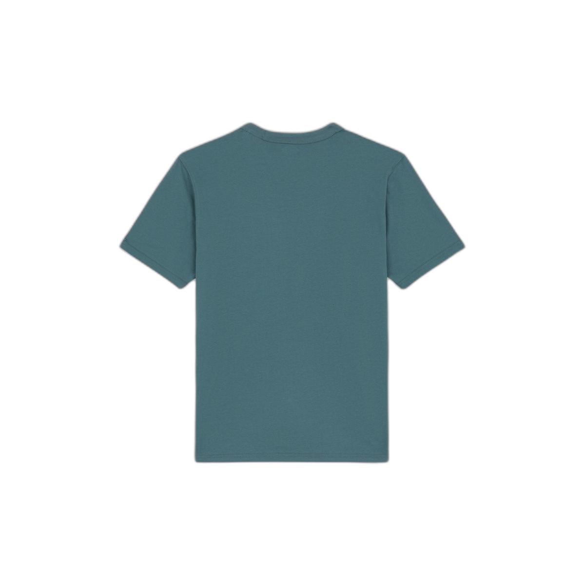 product/d/i/dickies_dk0a4y8oj951_green-surf-blue_2.jpg