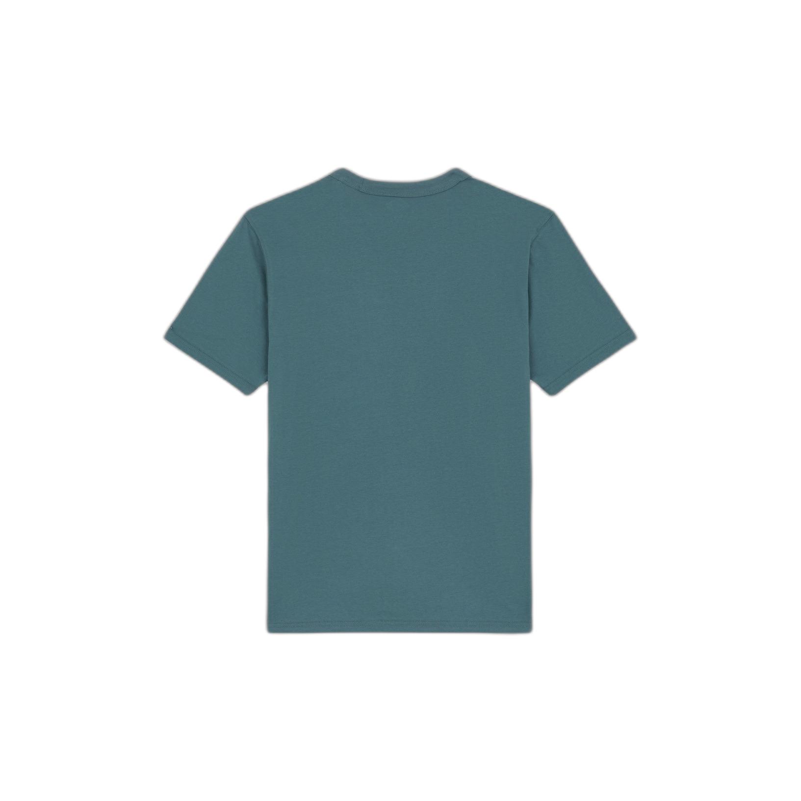 product/d/i/dickies_dk0a4y8oj951_green-surf-blue_2.jpg