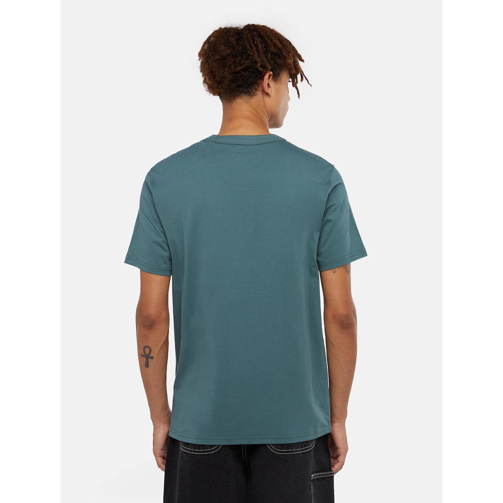 product/d/i/dickies_dk0a4y8oj951_green-surf-blue_4.jpg