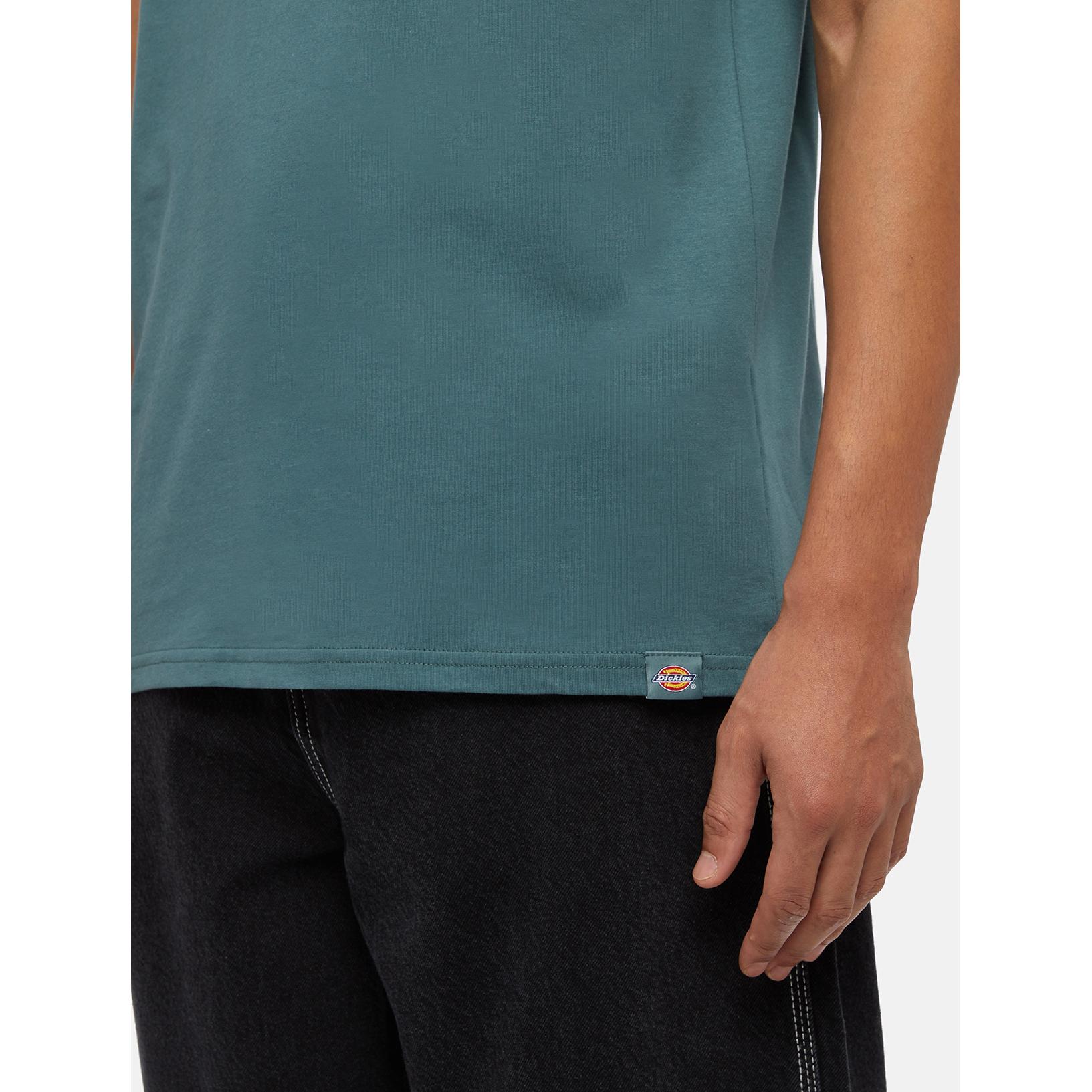 product/d/i/dickies_dk0a4y8oj951_green-surf-blue_7.jpg