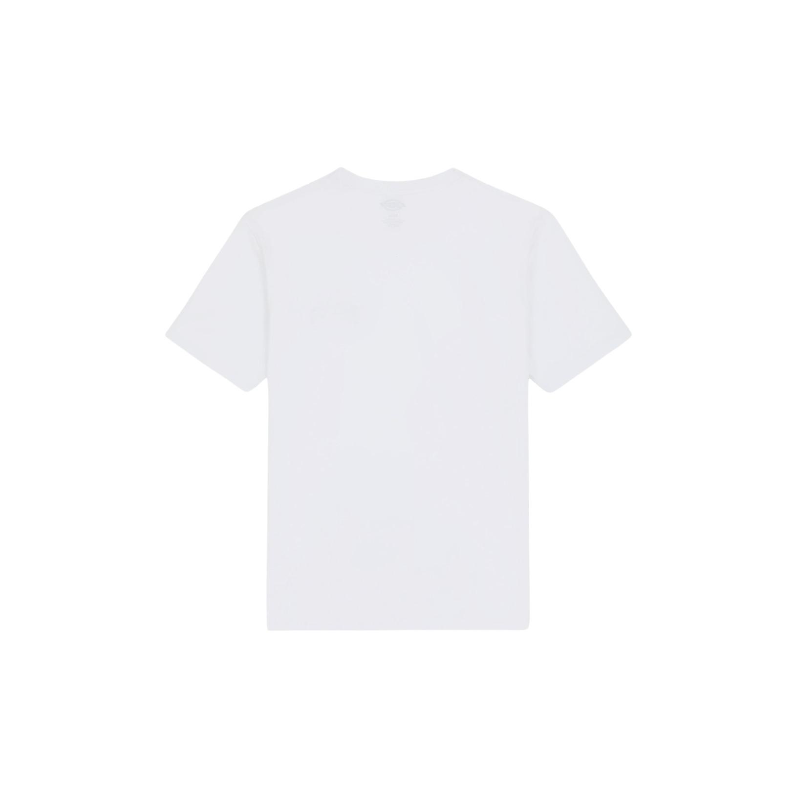 product/d/i/dickies_dk0a4y8oj971_white-lincoln-green_2.jpg