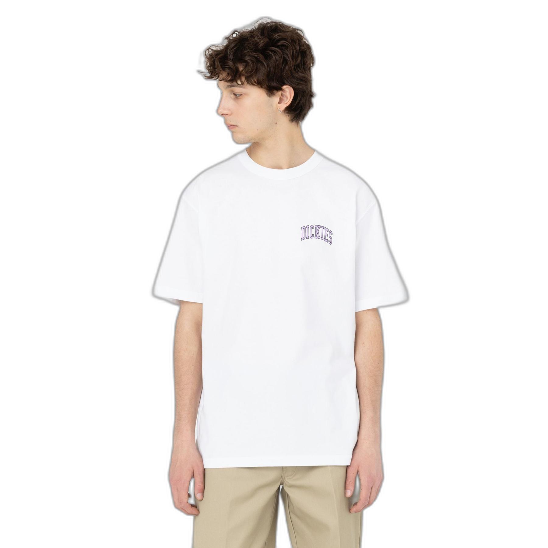 product/d/i/dickies_dk0a4y8owhx1_blanc_1.jpg