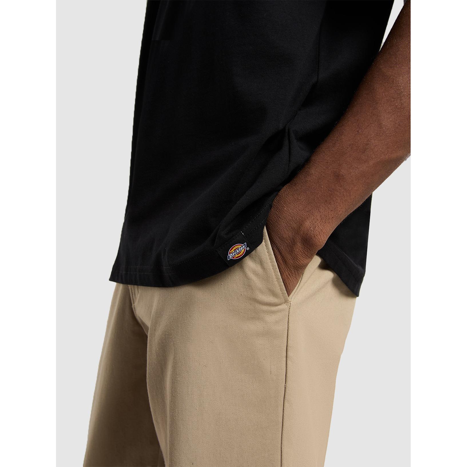 product/d/i/dickies_dk0a87qoblk1_14.jpg