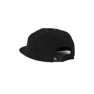 product/d/i/dickies_dk0a4xyi-blk_mag3967778_2.jpg