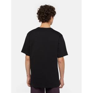 product/d/i/dickies_dk0a4y8oj941_black_4.jpg