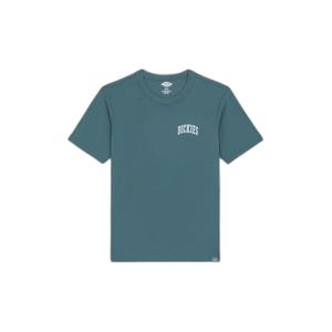 dk0a4y8oj951-t-shirt-dickies-aitkin-chest-verde-azul-surf