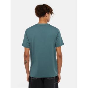 product/d/i/dickies_dk0a4y8oj951_green-surf-blue_4.jpg
