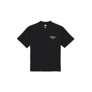 product/d/i/dickies_dk0a87qoblk1_1.jpg