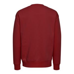21107419-191559-sweatshirt-solid-lenz-salvia-escarlate